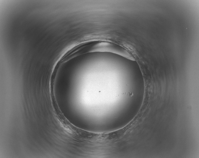 X0000067480148200604101238