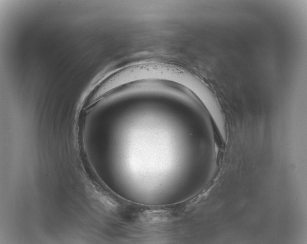 X0000067480150200604101238