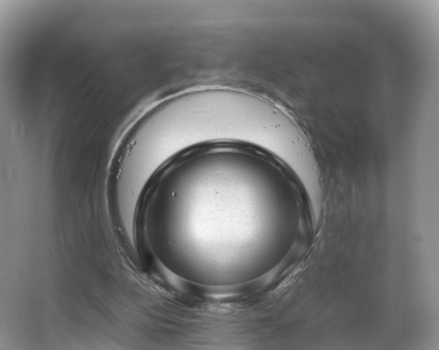 X0000067480152200604101238