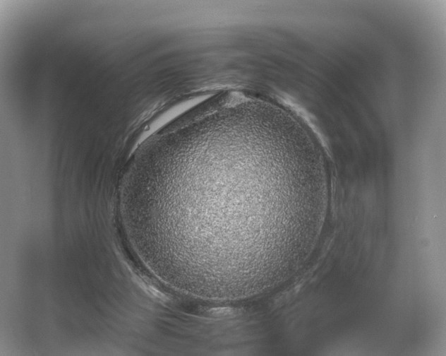 X0000067480153200604101238