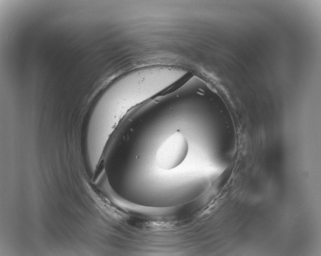 X0000067480154200604101238