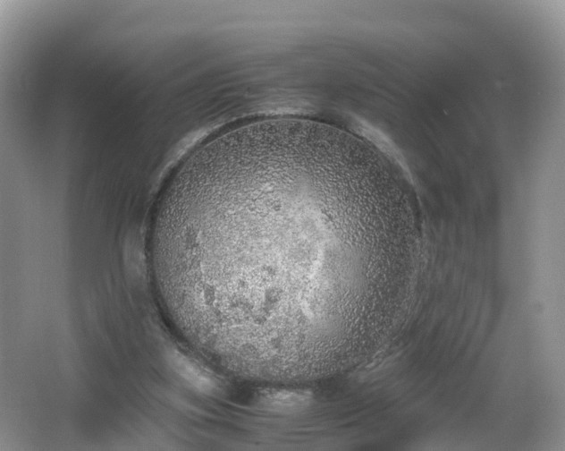 X0000067480155200604101238