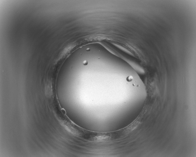 X0000067480158200604101238