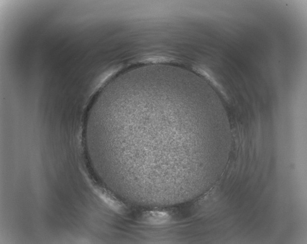 X0000067480159200604101238