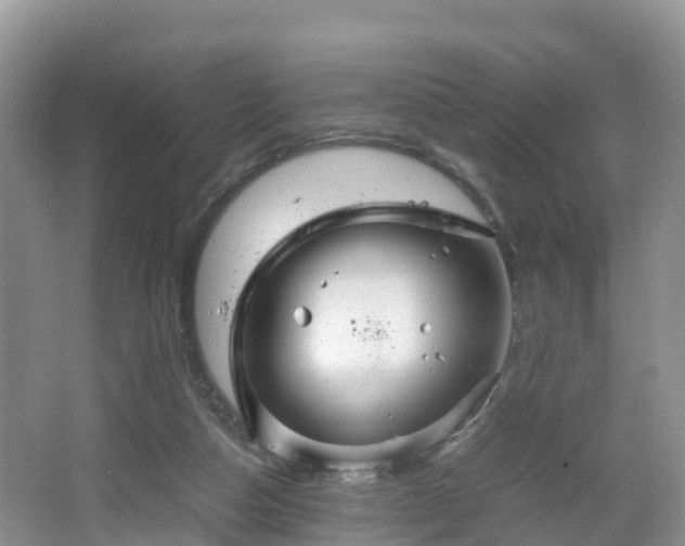 X0000067480162200604101238