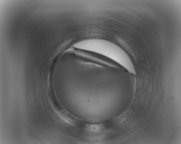 X0000067480163200604101238