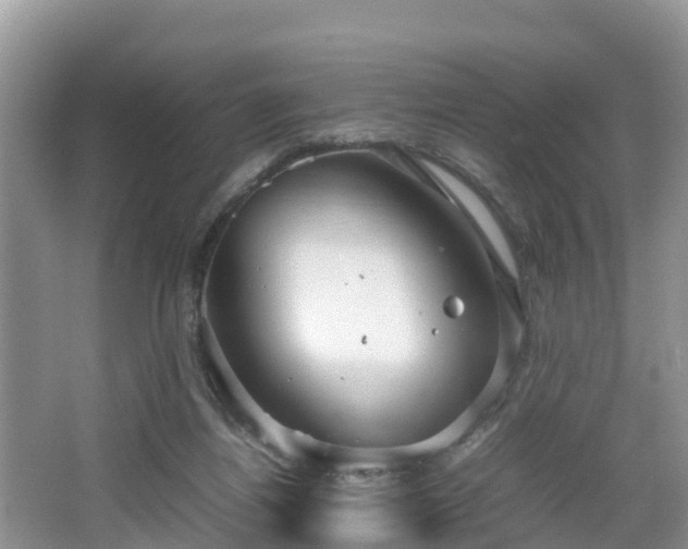 X0000067480164200604101238