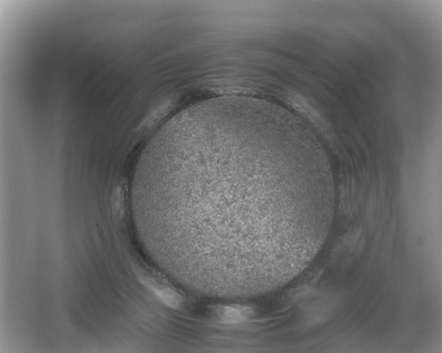 X0000067480165200604101238