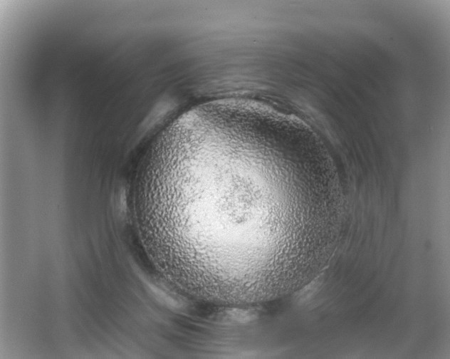 X0000067480166200604101238