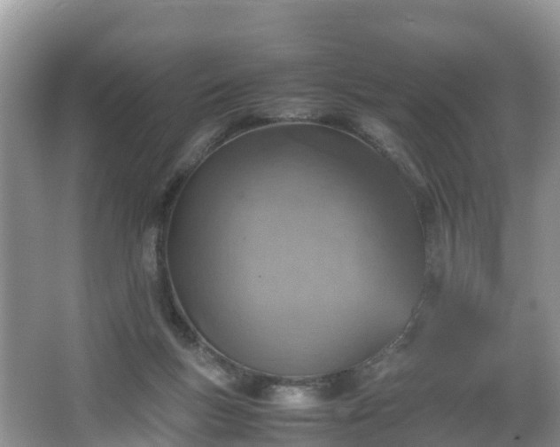 X0000067480167200604101238