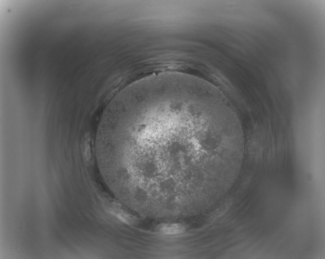 X0000067480169200604101238