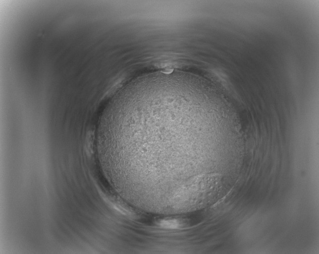 X0000067480171200604101238