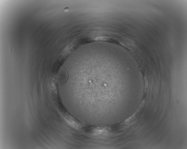 X0000067480175200604101238