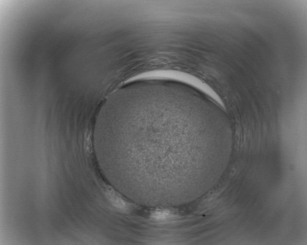 X0000067480177200604101238