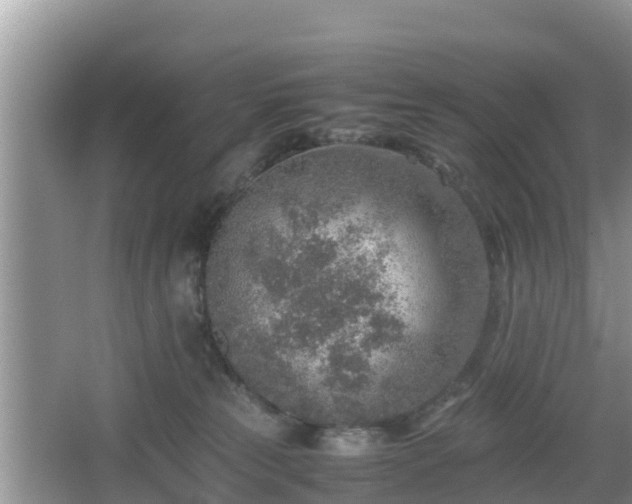 X0000067480181200604101239