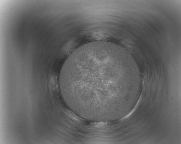 X0000067480182200604101239