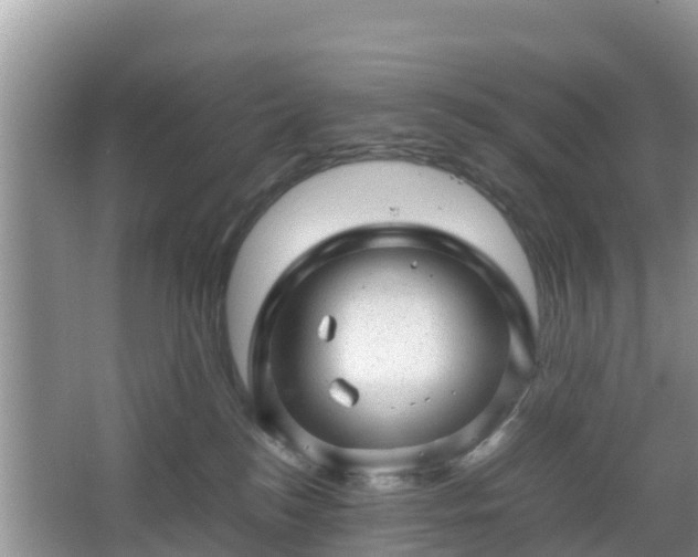 X0000067480184200604101239