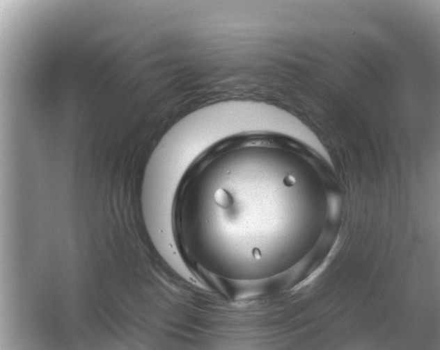 X0000067480186200604101239