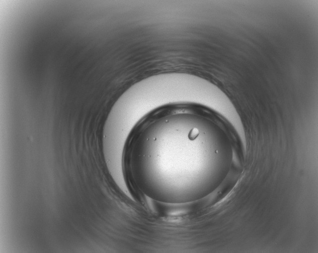 X0000067480187200604101239