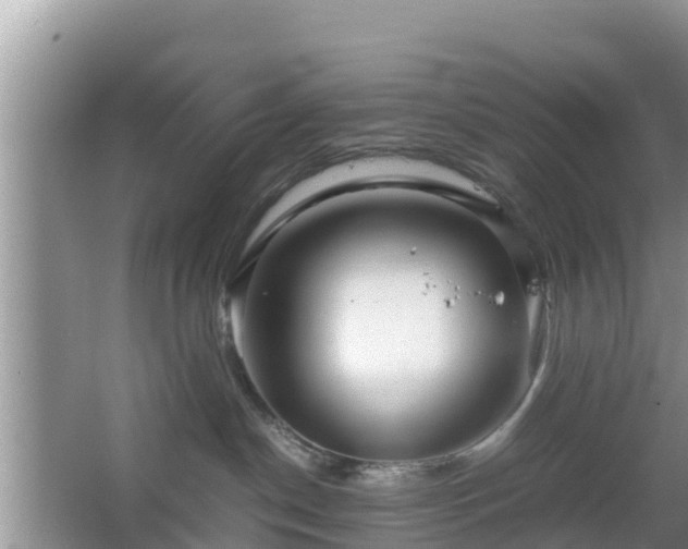 X0000067480190200604101239