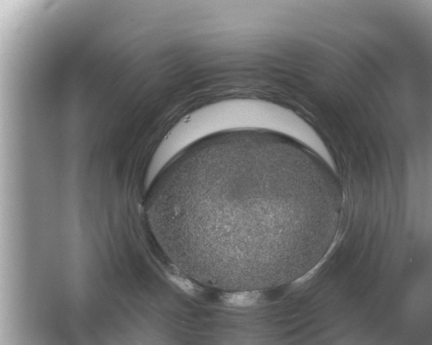 X0000067480191200604101239