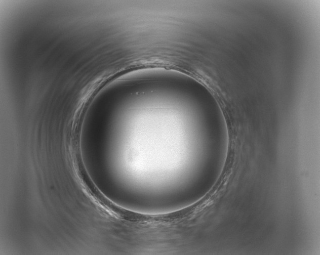 X0000067480193200604101238