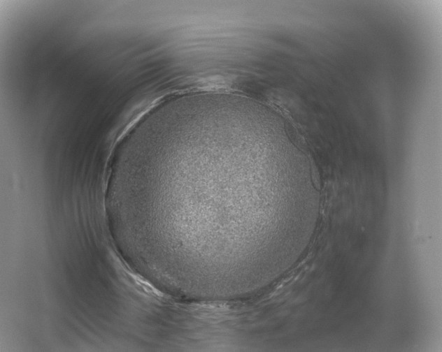 X0000067480194200604101238