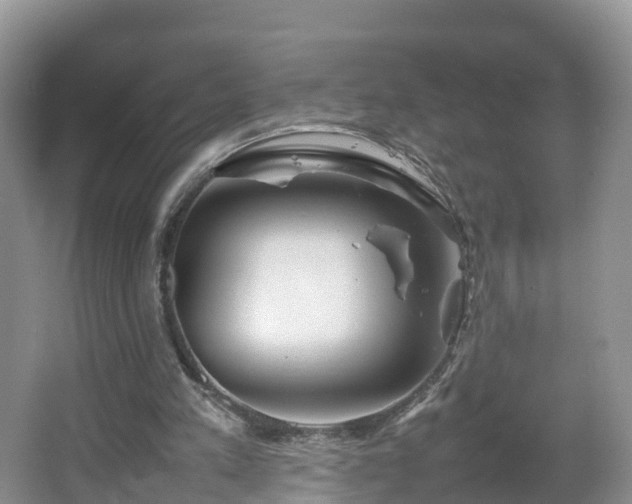 X0000067480197200604101238