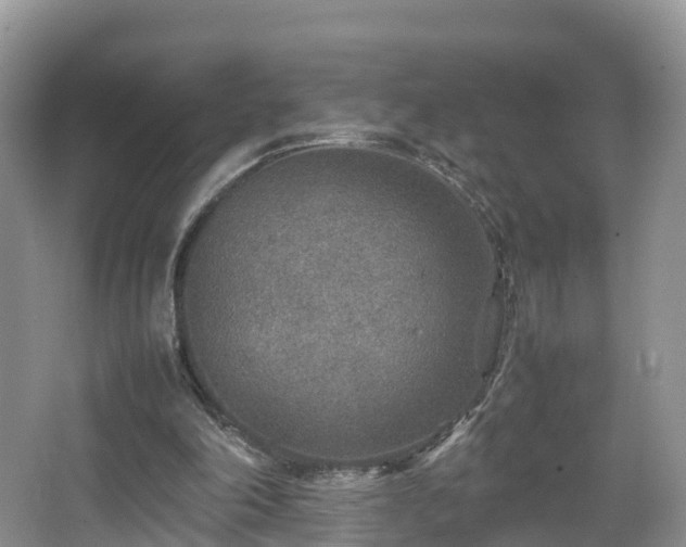 X0000067480198200604101238