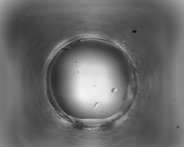 X0000067480199200604101238