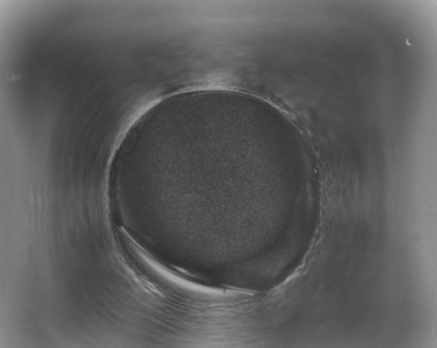 X0000067480200200604101238