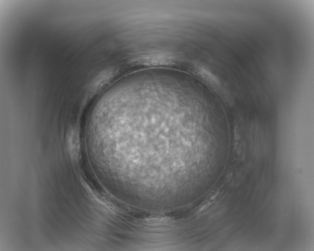 X0000067480202200604101238