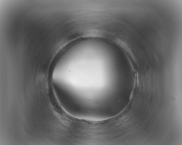 X0000067480204200604101238