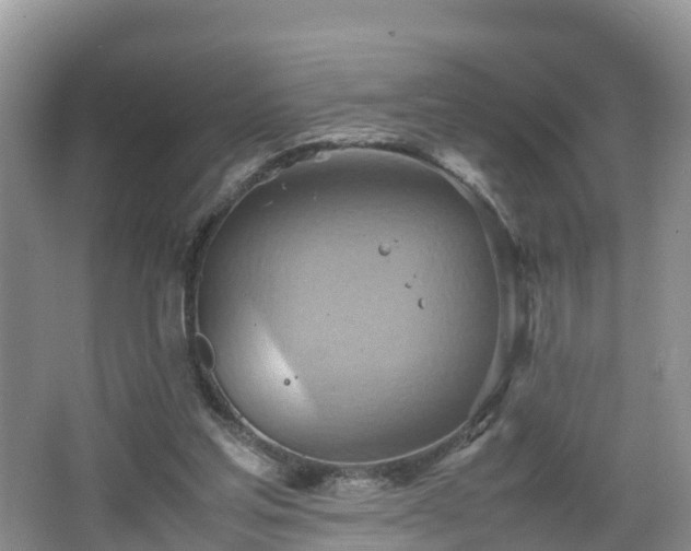 X0000067480205200604101238