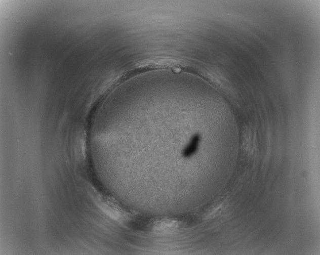 X0000067480206200604101238