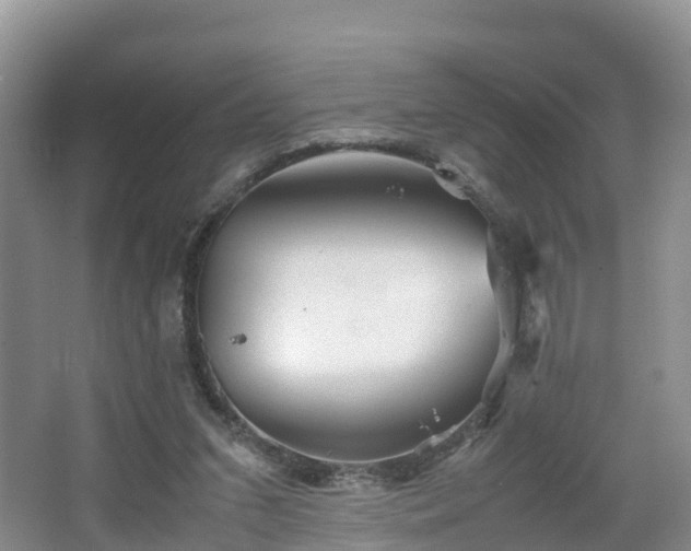 X0000067480207200604101238