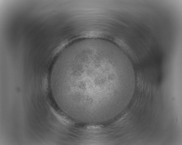 X0000067480208200604101238