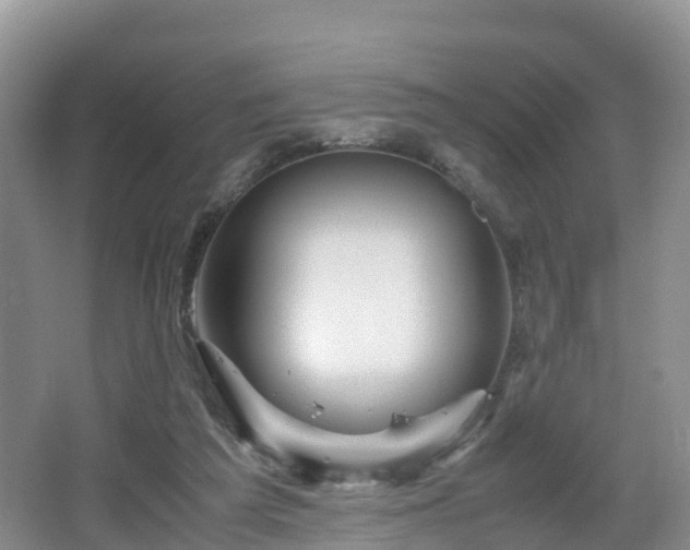 X0000067480209200604101238