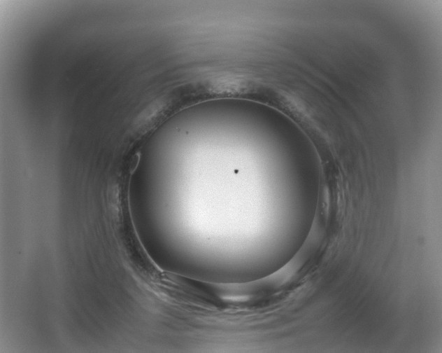 X0000067480211200604101238