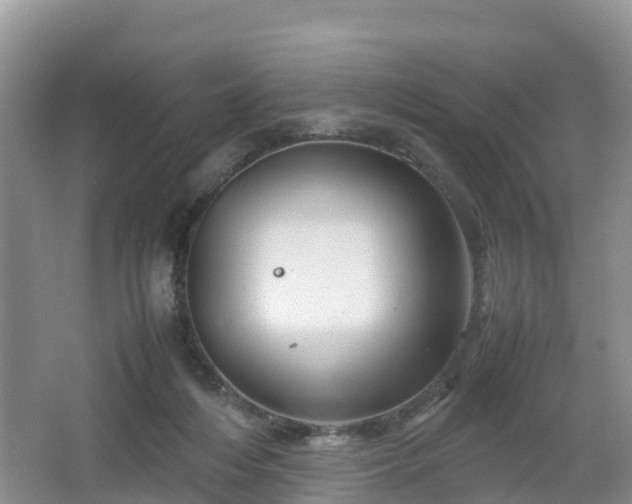 X0000067480216200604101238