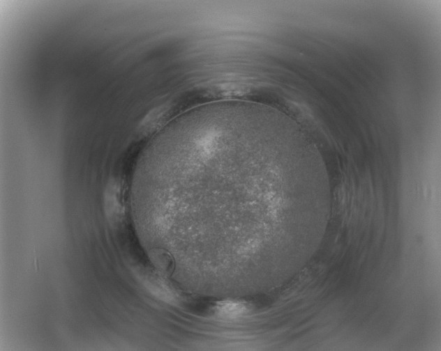 X0000067480218200604101237