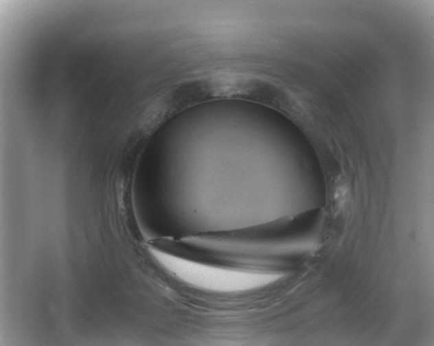 X0000067480219200604101237