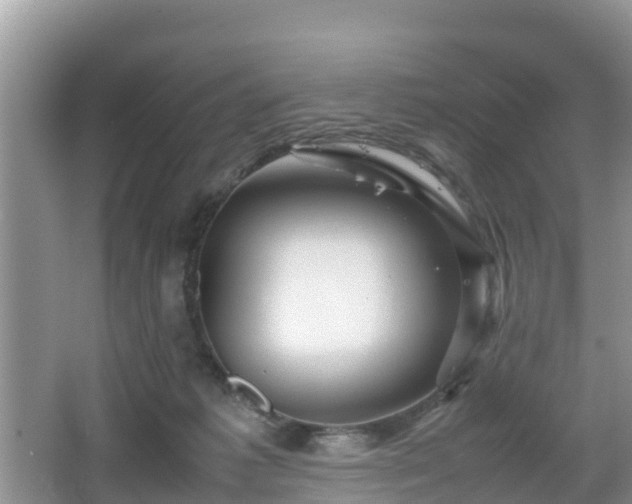 X0000067480221200604101237