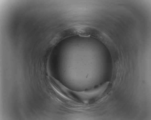 X0000067480223200604101237