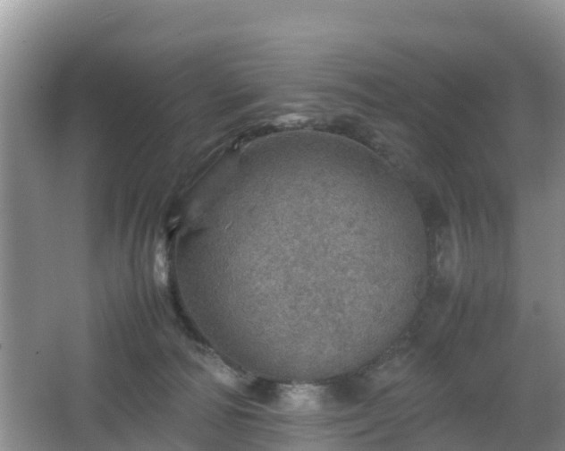 X0000067480226200604101237