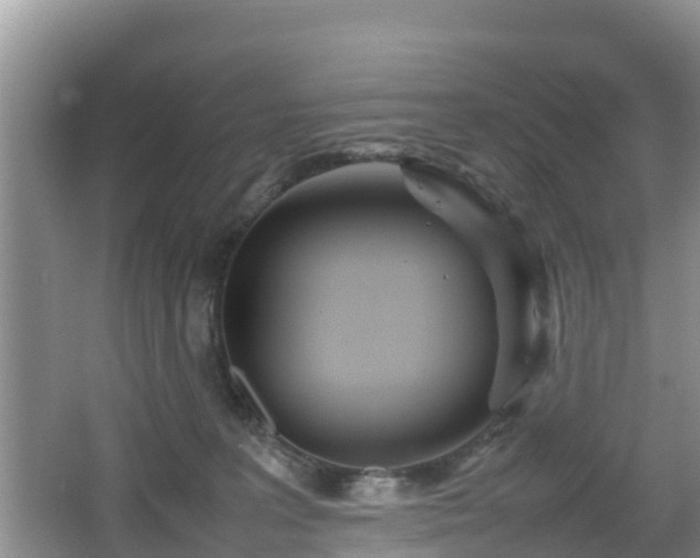 X0000067480227200604101237