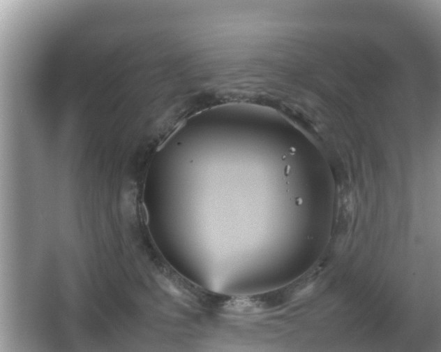 X0000067480231200604101237