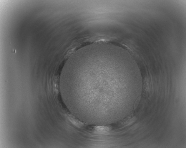 X0000067480234200604101237