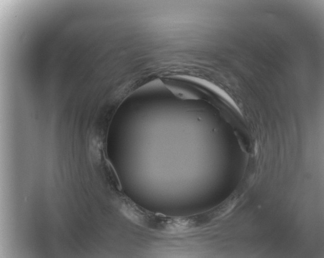 X0000067480235200604101237