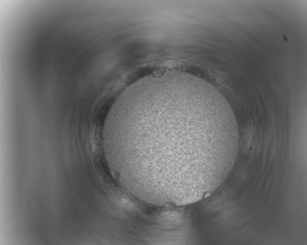 X0000067480236200604101237